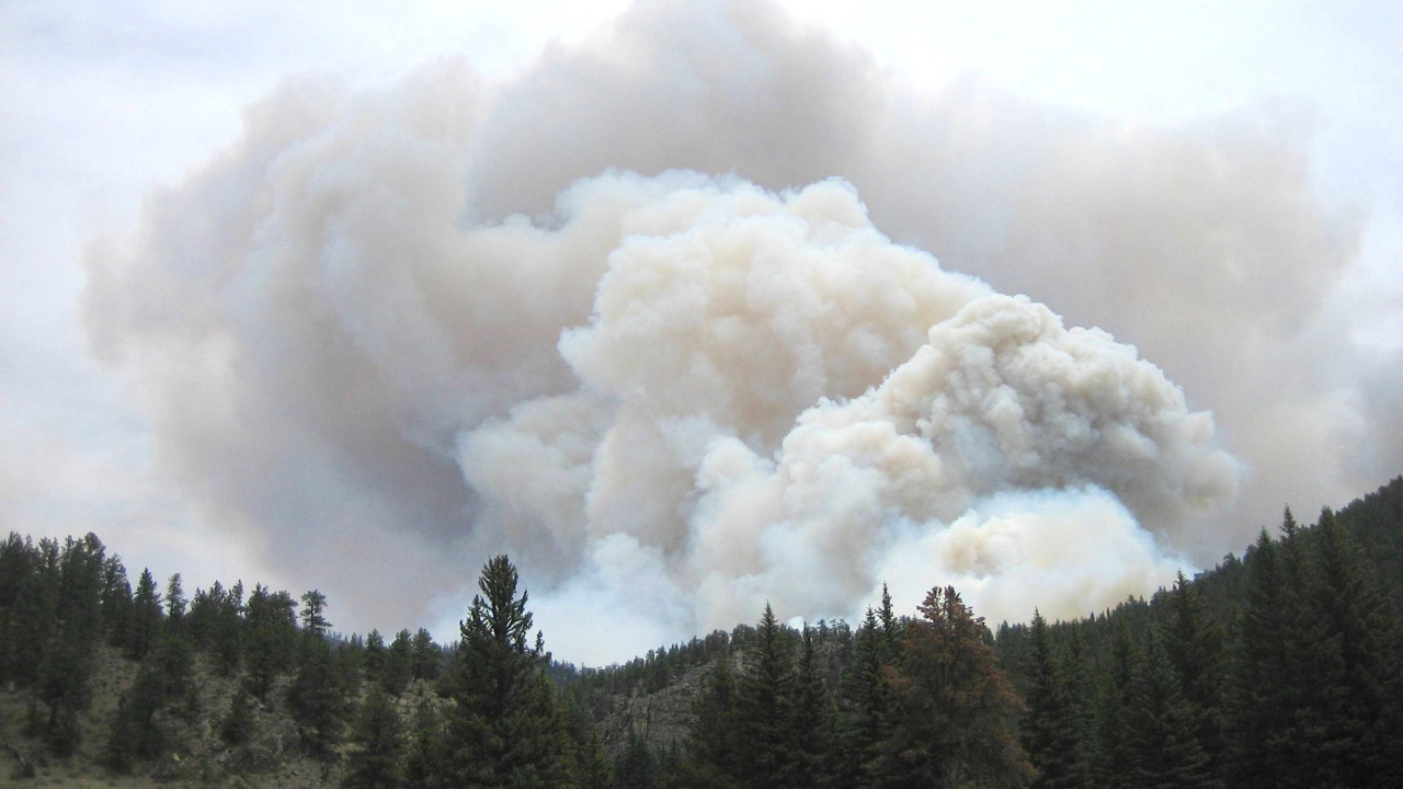 Dealing with Fire and Smoke Damage in Kelowna: What Should You Do Next?